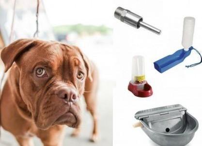 Abbeveratoio per cani automatico: quale scegliere